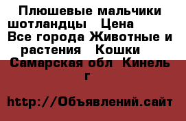 Плюшевые мальчики шотландцы › Цена ­ 500 - Все города Животные и растения » Кошки   . Самарская обл.,Кинель г.